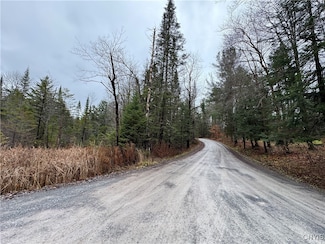 Lot #1 Beaver Trail Rd, Alder Creek, NY 13301