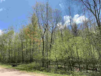 0 Lime Ridge Rd, Shawano, WI 54166