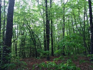 00 Walnut Tree Rd, Mountain Rest, SC 29664