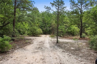 0 Ogden Ln, Amite City, LA 70422