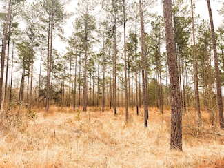 0 Newton Rd, Bainbridge, GA 39817
