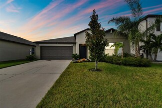 13541 Wild Ginger St, Riverview, FL 33579
