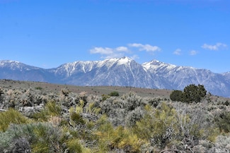TBD Homestead Rd, Gardnerville, NV 89410