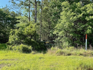 16086 Farm To Market Road 943, Kountze, TX 77625