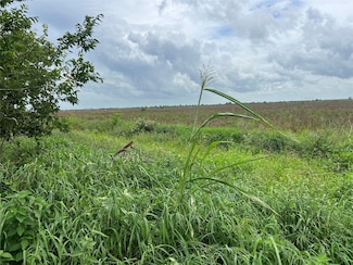 00 Beal Rd, Eagle Lake, TX 77434