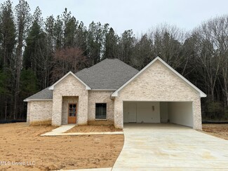 128 Jasmine Cove Dr, Brandon, MS 39042