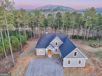 479 Sandy Lake Ln, Blairsville, GA 30512