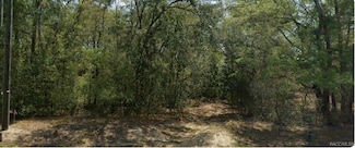 1547 W Magenta Dr, Citrus Springs, FL 34434