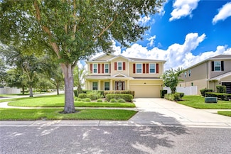 2499 Calvano Dr, Land O Lakes, FL 34639