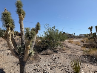 407 Detrital Dr, Meadview, AZ 86444