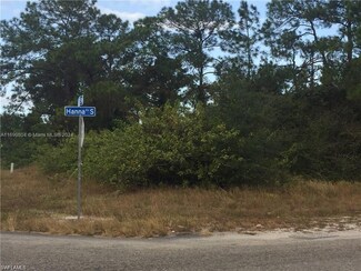 2800 8th St SW, Lehigh Acres, FL 3397