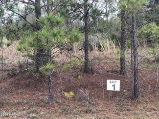 lot 1 Madison Ln, Chipley, FL 32428