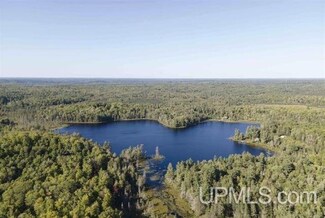 TBD Floating Bear Trail, Champion, MI 49814