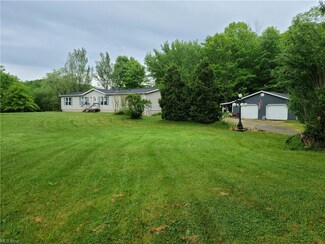 10437 Peck Rd, Mantua, OH 44255