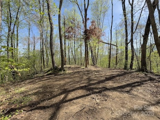 Lot 64 Big Springs Trail Unit 64, Qualla, NC 28719