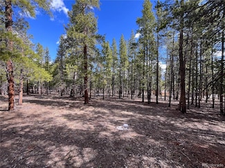 30336 National Forest Dr Unit 21, Buena Vista, CO 81211