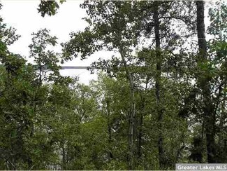 18963 County 40, Park Rapids, MN 56470