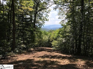 1335 Panther Park Trail, Travelers Rest, SC 29690