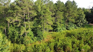 County Road 33 Rd, Hermitage, AR 71647