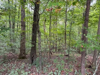 0 Adobe Ct, Danville, VA 24540