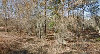 0 NE 16th St Unit Lot 5 MFRG5082366, Williston, FL 32696