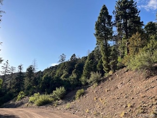 Lot 5693 Balleroy Rd, San Pablo, CO 81152