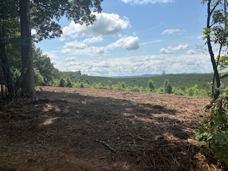 2 Lake Rd, Spring City, TN 37381