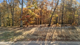 2148 Old Dogwood Tr, Loudon, TN 37774