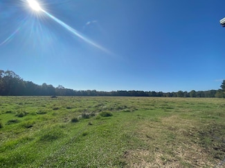 260 N Mitchel Chappel Rd, Poplarville, MS 39470