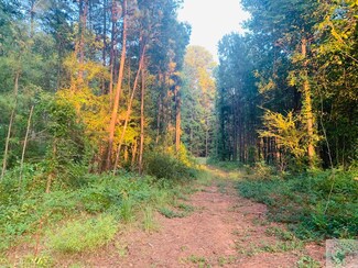 1982 County Road 2116, Douglassville, TX 75560