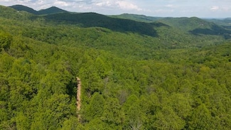 TBD Cove Gap Rd Unit 3, Moravian Falls, NC 28654