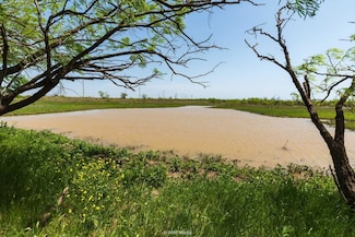 0 Rockdale Rd, Lueders, TX 79533