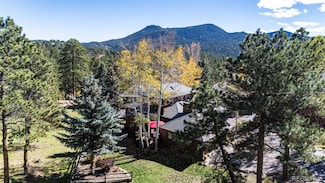 29862 Troutdale Park Place, Evergreen, CO 80439