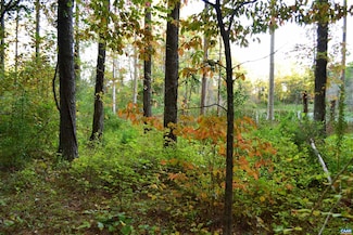 2A Scottsville Rd, Charlottesville, VA 22902