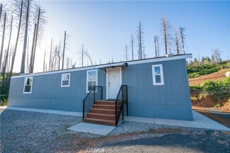4908 Deerwood Ct, Grizzly Flats, CA 95636