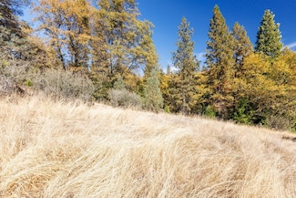 3609 Red Dog Dr, Camino, CA 95709