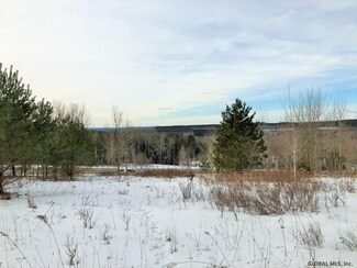 0 State Route 10 Unit 202012383, Jefferson, NY 12167