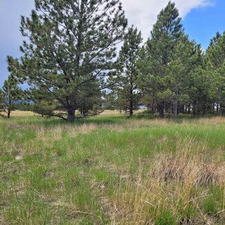 10423 Frontage Rd, Edgemont, SD 57735