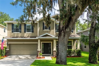 12208 Mcmullen Loop, Riverview, FL 33569