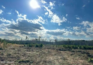 Lot 1 Sheep Pasture Rd, Spring Hope, NC 27882