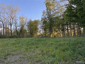1441 Sturgeon Point Rd, Derby, NY 14047