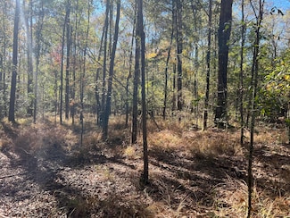 234 George McDonald Dr, Shubuta, MS 39360