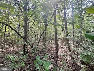 0 Greenway Ln Unit VAPA2003942, Luray, VA 22835