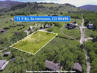 71 V Rd, Silverthorne, CO 80498