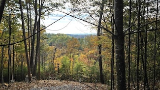 Lot 157 Roaring Forks Ln, Ellijay, GA 30540