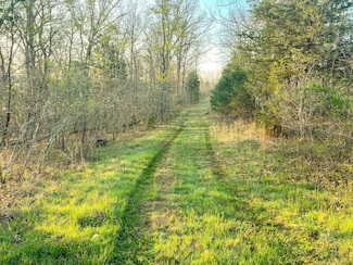 0 Tbd Diamond School Rd, Grubville, MO 63041