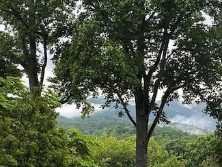 Lt 9 McRidge Rd, Hiawassee, GA 30546
