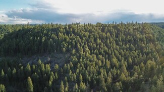 NKA Tamarack Canyon Rd E, Davenport, WA 99122