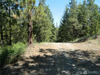 0 Tbd Murphy Ranch Rd Unit NWM2345048, Tonasket, WA 98855