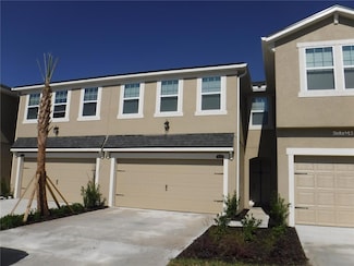 11634 Cambium Crown Dr, Riverview, FL 33569